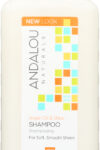 Andalou Naturals Moisture Rich Shampoo Argan and Sweet Orange